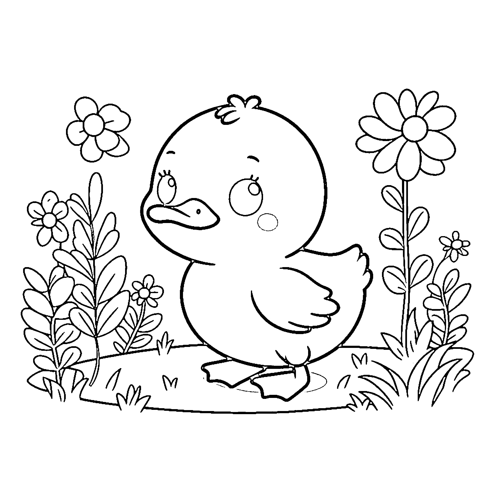 bebek e06f
